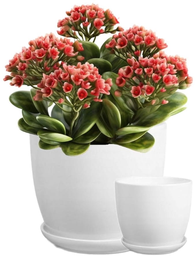 Polnix Serie - Keramische Bloempot - 21 cm - Glanzend Wit