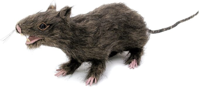 Europalms - Halloween - Decoratie - Versiering - Accesoires - Rat lifelike with coat 30cm