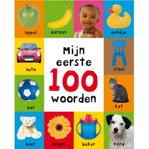 Mijn Eerste 100 Woorden - Mijn Eerste 100 - Roger Priddy