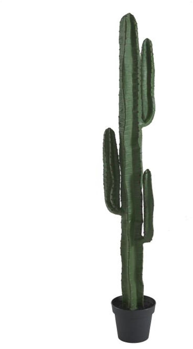 Vente-unique Artificiële cactus - L26 x D20 x H145 cm - Groen - GUADA