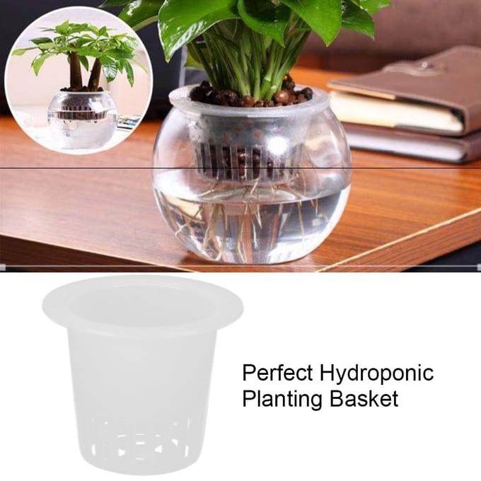 50 Stuks Hydroponics Plantmand Zonder Aarde Teelt Bloemenplant Kweekgaasmand Wit wit
