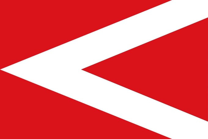 Vlag Anderlues 100x150cm