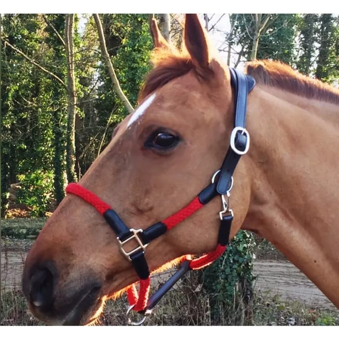 Paarden halster Cavaletti Tara