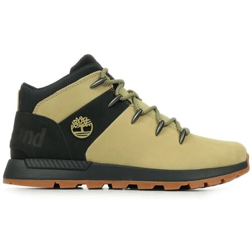 Lage Sneakers Timberland TB0A6AHZEN7