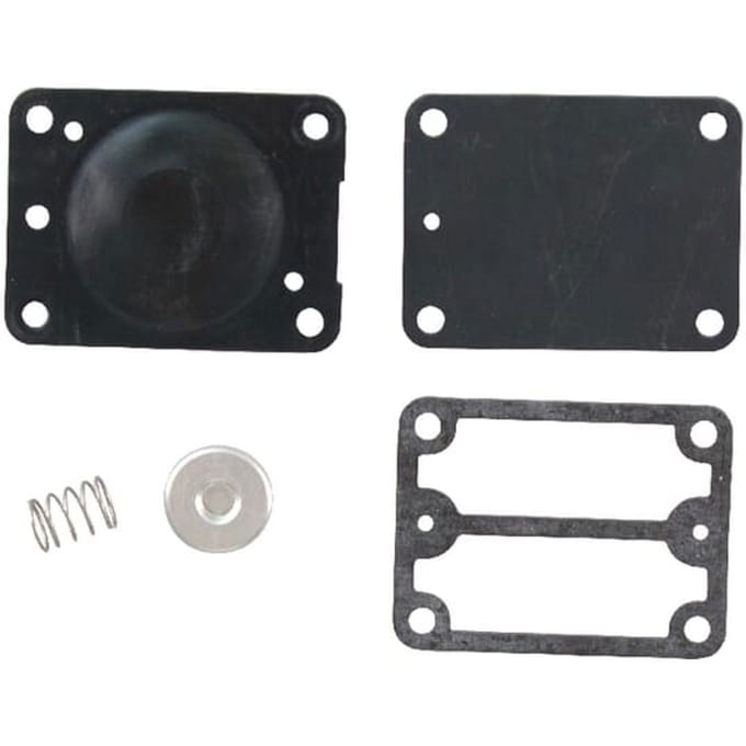 Briggs & stratton brandstofpomp set