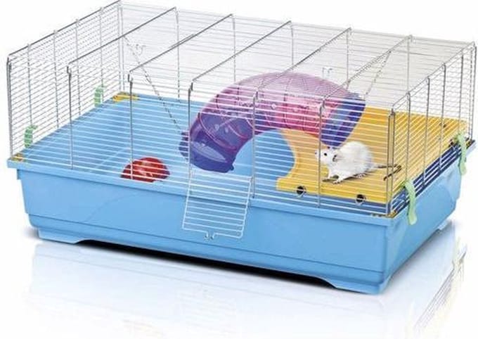 Imac Rat80