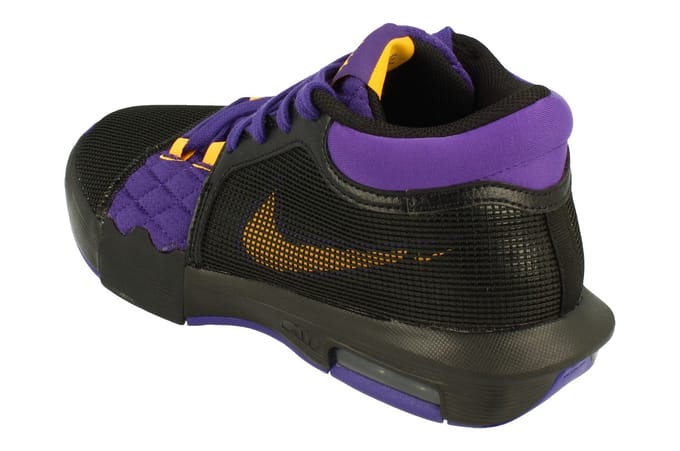 Nike Lebron Witness VIII Heren Basketbalschoenen Paars