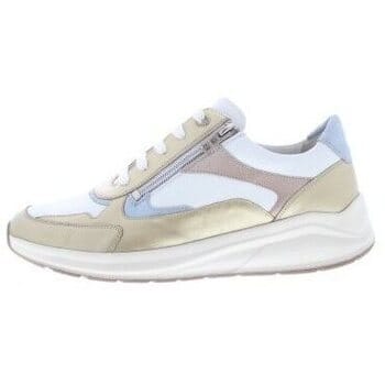 Solidus -Dames - goud - sneakers - maat 36.5