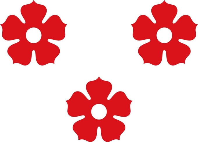 Vlag Ardooie 100x150cm