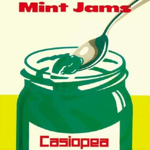 Mint Jams - Casiopea