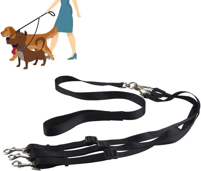 Solidchoice - 3-in-1 Hondenriem voor Middelgrote en Kleine Honden