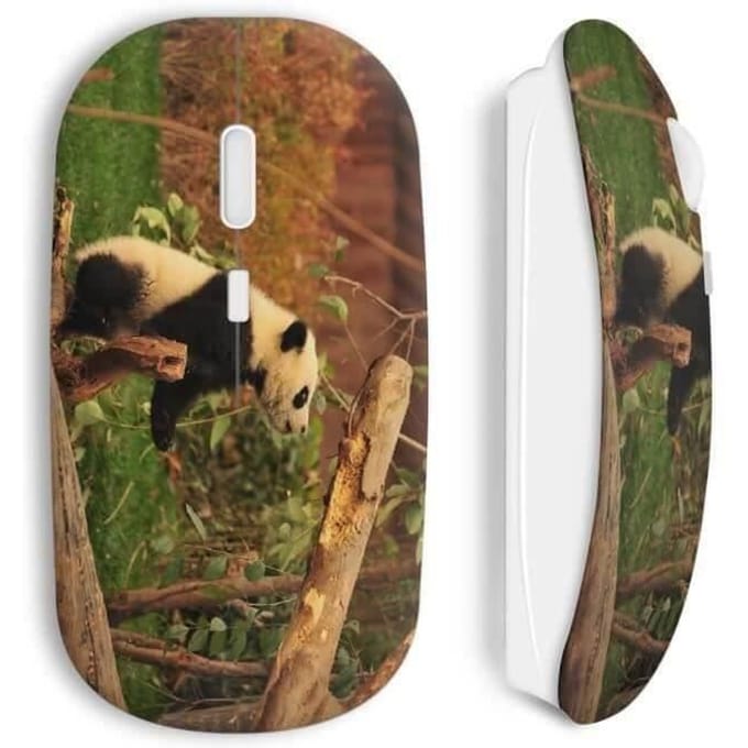 Souris Panda sans fil