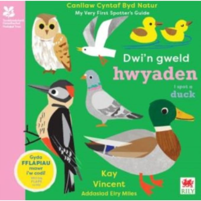 Dwi'n Gweld Hwyaden / I Spot A Duck - Kay Vincent
