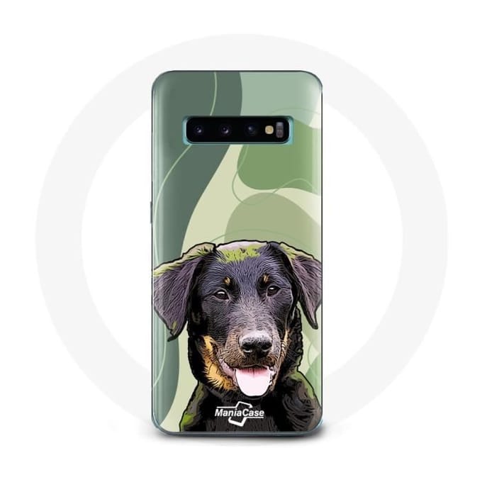 Hoesje voor Samsung Galaxy S10 Plus Kwetsbare inheemse rassen
