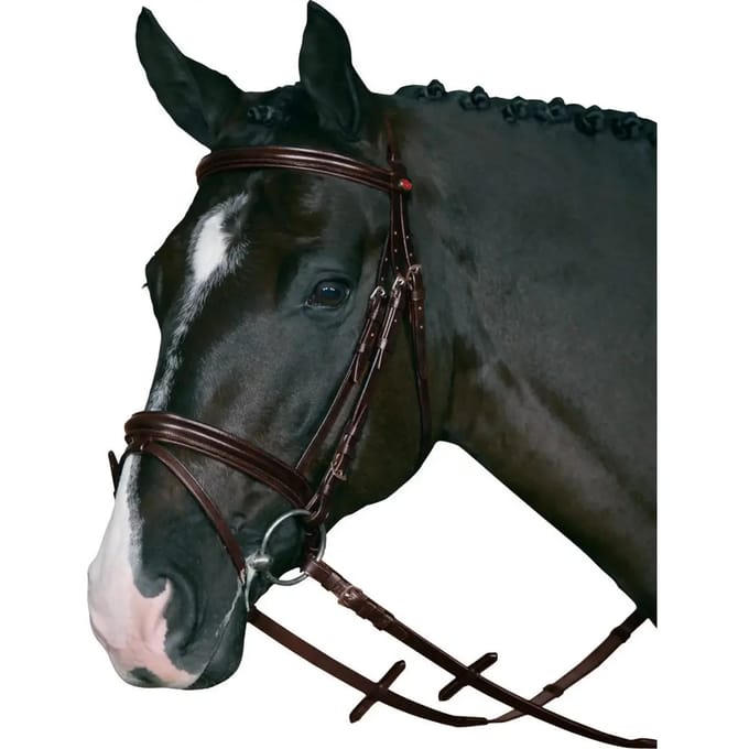 Hoofdstellen met supergrip HorseGuard