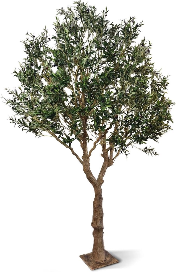 Kunst Olijfboom XL op plaat 300cm