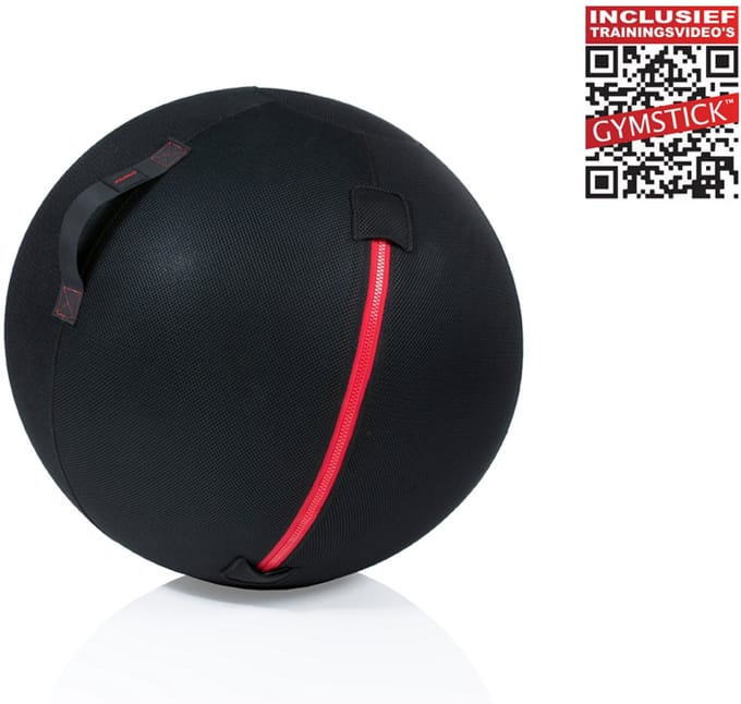 Gymstick Office Ball - 65 cm - Met Online Trainingsvideo's