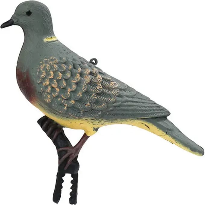 Dove bellend Stepland (x24)