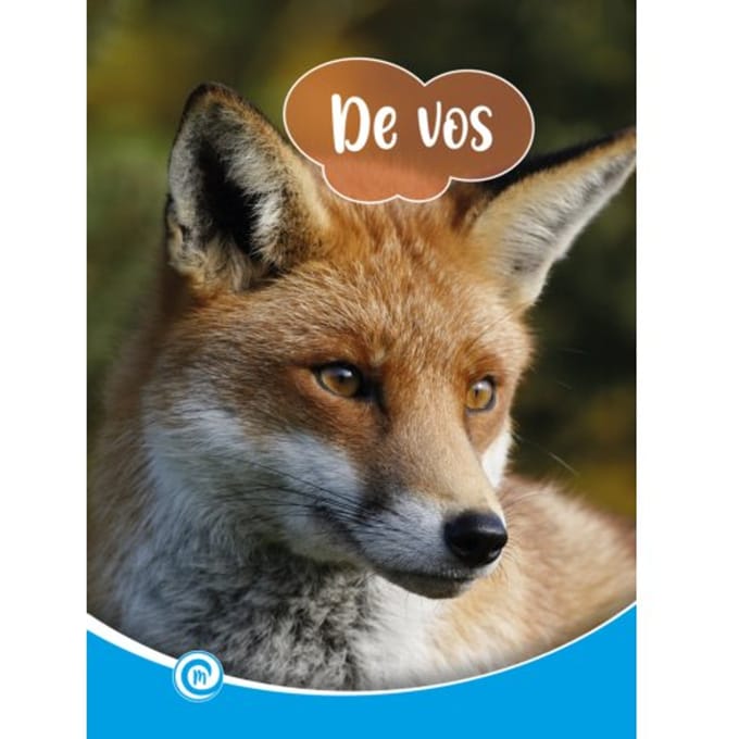 De Vos - Mini Informatie - Minke van Dam
