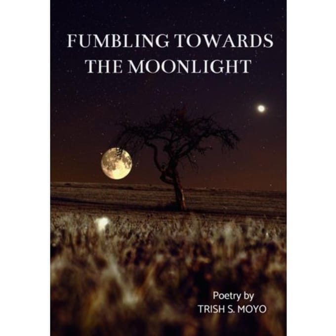 Fumbling Towards The Moonlight - Trish Moyo