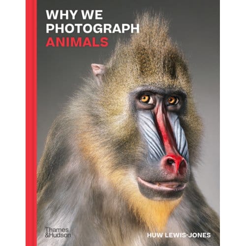Why We Photograph Animals - Huw Lewis-Jones