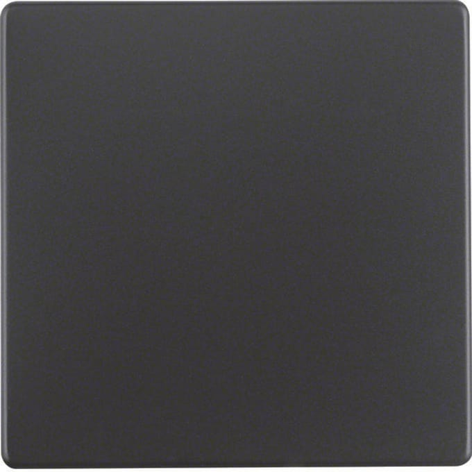Hager Berker Q.1/Q.3 Schakelelement/Centrale plaat - 16206086 [2 stuks]