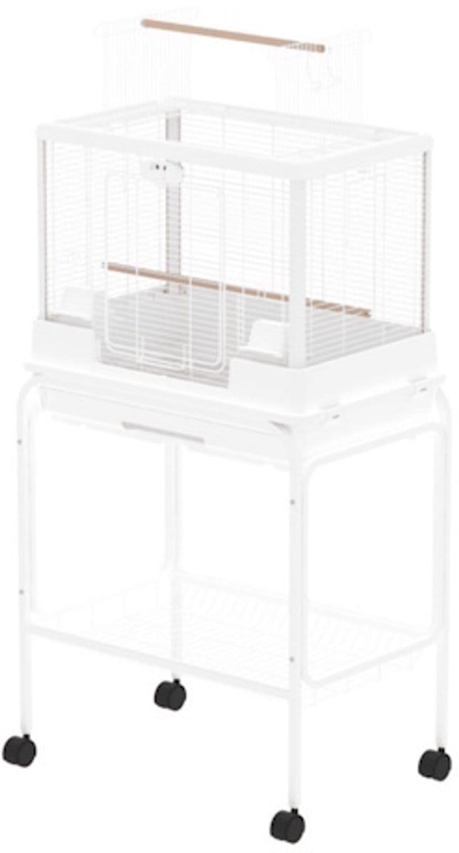 @Pet Vogelkooi Ceasar M met Standaard Wit