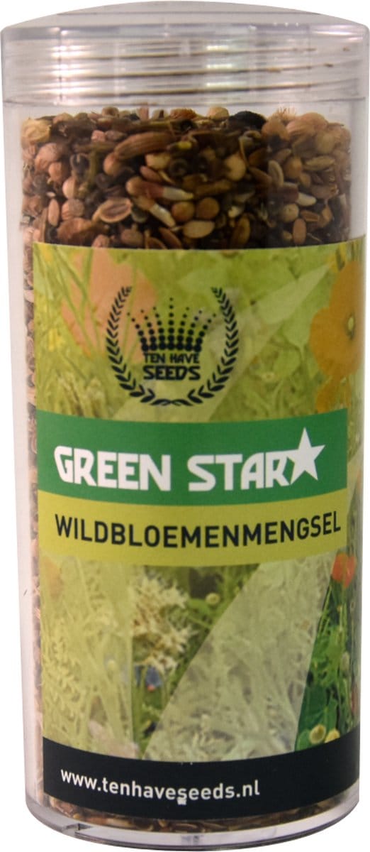 Ten Have Seeds Wilde bloemenmengsel 75g