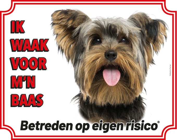 Yorkshire Terrier Waakbord - Ik waak voor mijn baas