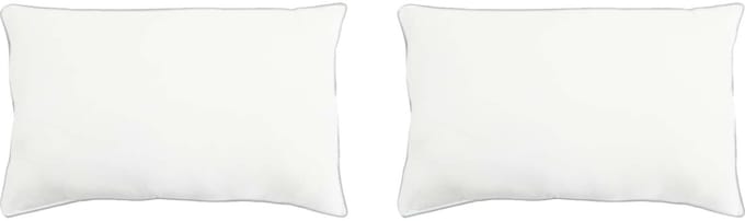 vidaXL - Hoofdkussen - 2 - st - 30 - x - 50 - cm - Bamboevezel - Wit