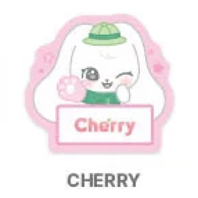 IVE COLLAB met EVERLAND - [ForEVER IVE] OFFICIEEL MD MINIVE NAAMPLAATJE JANGWONYOUNG