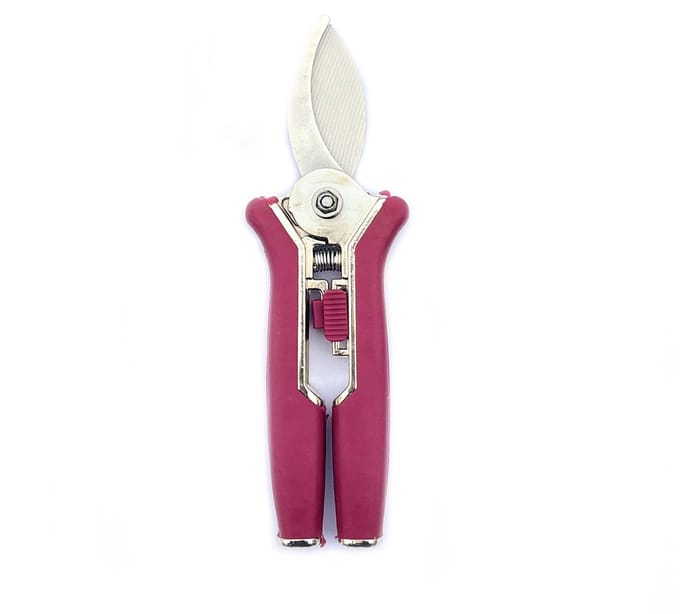 Snoeischaar - Kleintje knip - Lengte van de snoeischaar 15 cm