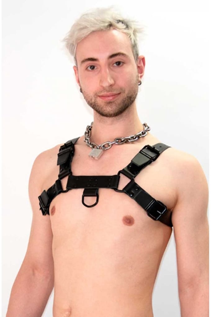 Mister b leather chest harness saddle leather