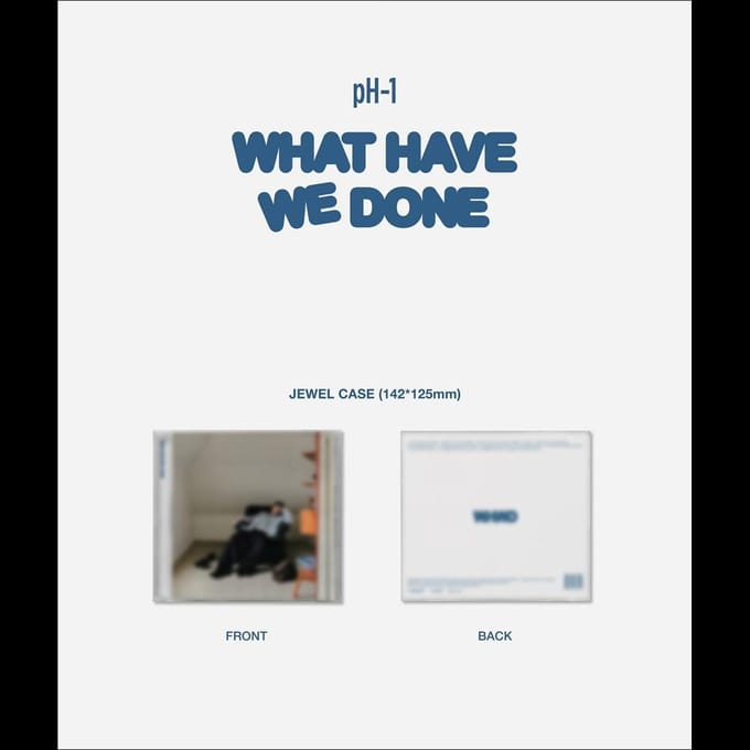 pH-1 [WAT HEBBEN WE GEDAAN] 3e Album 1EA gray
