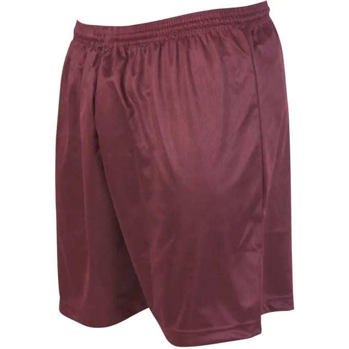 Korte broek met microstreep Precision