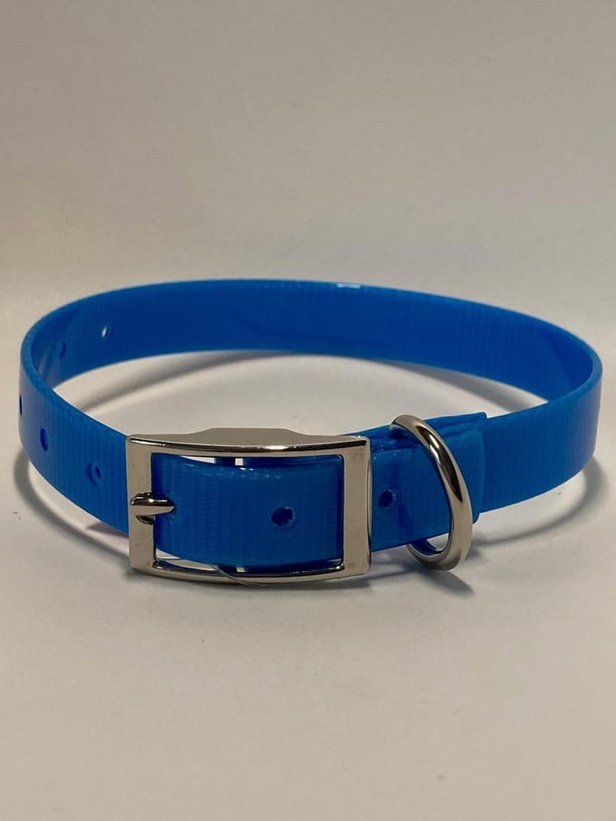 Halsband BioThane GOLD Transparant - (licht) BLAUW - 600mmX25mm - dubbele gesp