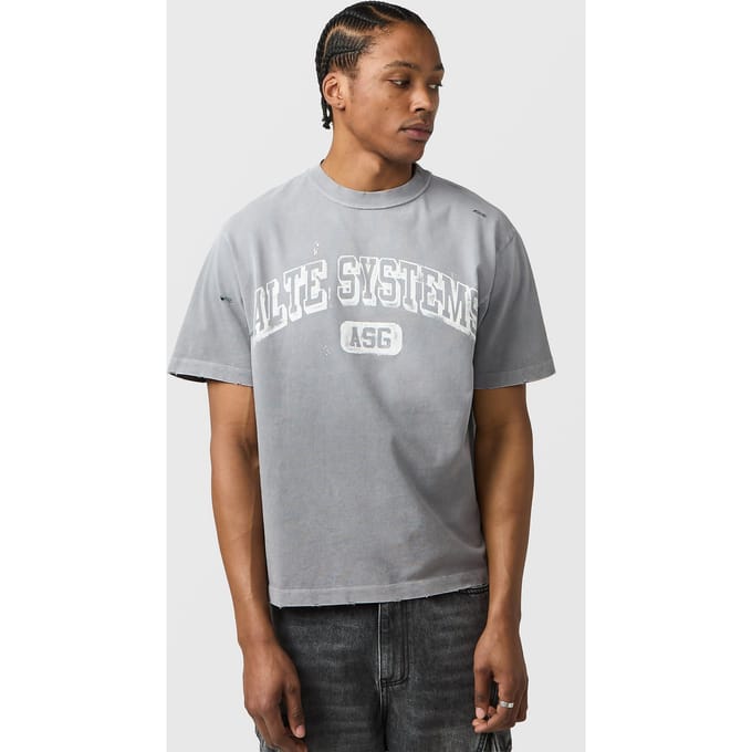 Alte Systems Analog T-Shirt, grijs