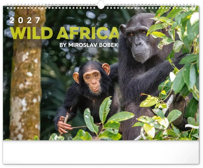 Wild Africa Kalender Groot 2027