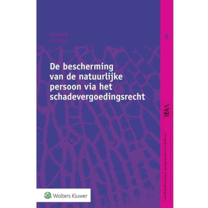 De Bescherming Van De Natuurlijke Persoon Via Het Schadevergoedingsrecht