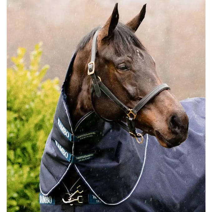 Paardendeken Horseware Rambo Duo Force 100g