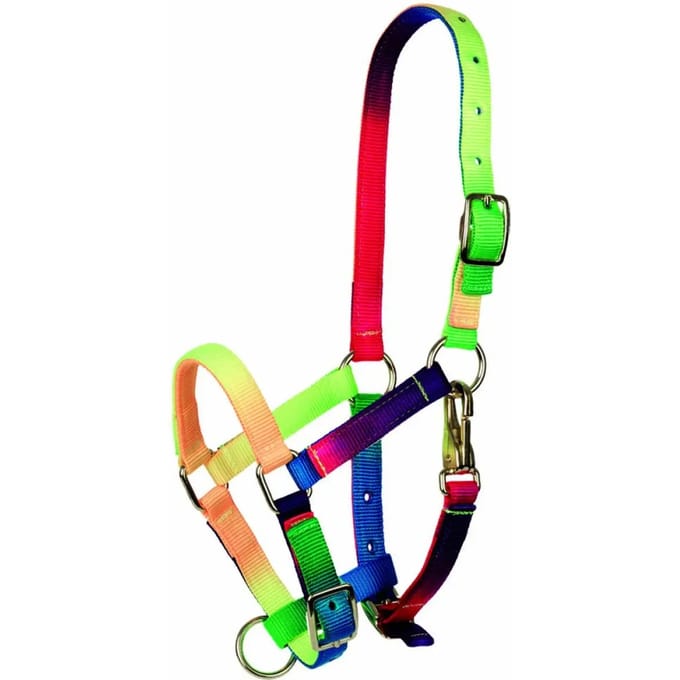 Pony halster Tattini