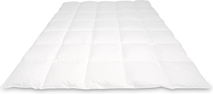 Cassenz REMBRANDT | donzen dekbed | 100% ganzendons | Herfst | warmteklasse 3 - 140/220cm - 420gr.