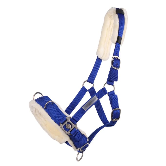 Qhp Kaptoom  Nylon - Mid Blue - cob