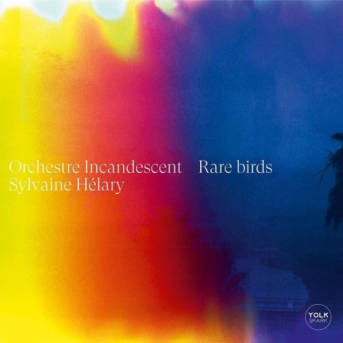Orchestre Incandescent & Sylvaine Helary - Rare Birds (CD)