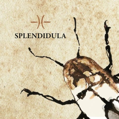 Splendidula - Splendidula (CD) (Limited Edition)