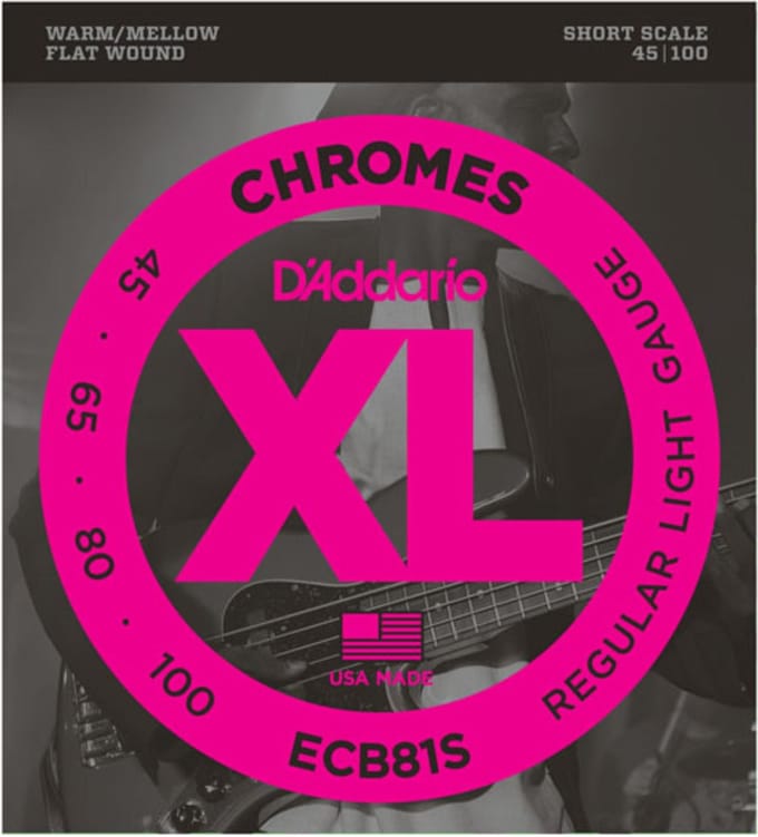 D'Addario ECB81S 45-100 Chromes Flatwound Stainless Steel - Snarenset voor 4-string basgitaar