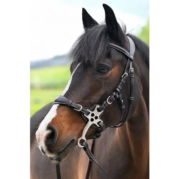 Hoofdstellen voor paarden Jump'In One Premium Hackamore