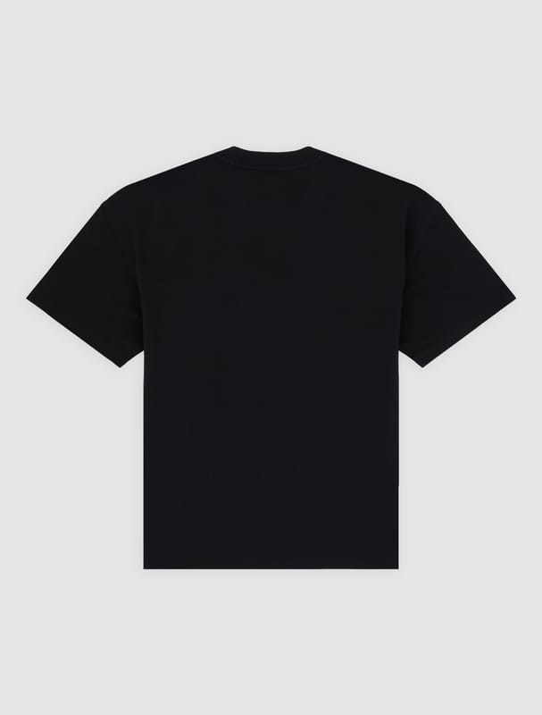 Dickies T-shirt - IRONDALE TEE - S tot XL - voor Mannen - zwart