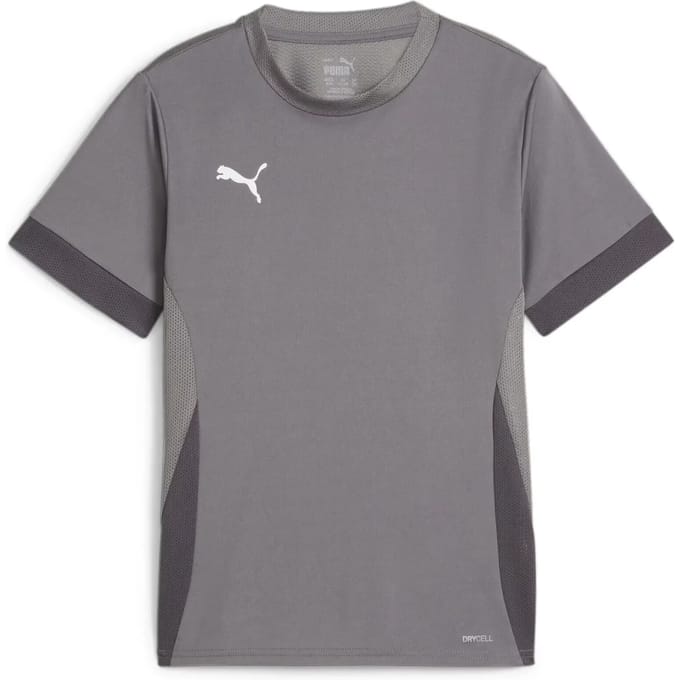 Trainingstrui voor kinderen Puma TeamGoal