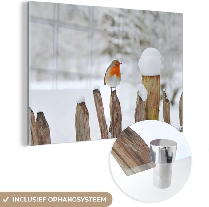 MuchoWow® Glasschilderij 30x20 cm - Schilderij acrylglas - Vogel - Hek - Sneeuw - Foto op glas - Schilderijen